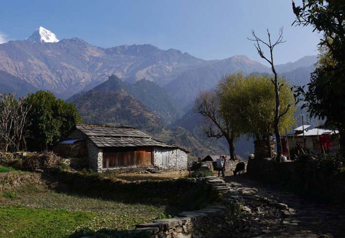 Muktinath Trekking