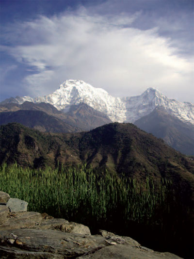 View on Day 2 from Ghandruk